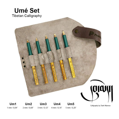 Pratikpen Ume Tibetan Calligraphy Set includes 5 stainless-steel nib pens with wooden handles. Smooth ink flow, precise strokes, perfect for Ume script and artistic writing.